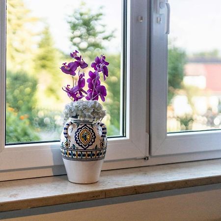 Jung 1 Leilighet Neukirch  Eksteriør bilde